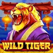 777PNL SLOT JILI